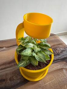 1pc Simulated Rain Planter - Top Water Storage Chamber - Can Simulate Rainfall - Quick Disassembly Design - Built-In Rain Spray Device - Suitable For Indoor Small Plants - With Tray - A - View 5
