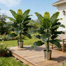 Schöner Bananenbaum mit hohen Ästen und großen grünen Blättern, geeignet für Außen- und Innenbereich/Zuhause, Küche, Garten, Terrasse, Balkon, Hof, Poolbereich; kann ganzjährig im Frühling und Sommer verwendet werden - Verschiedenfarbig - Übersicht 2