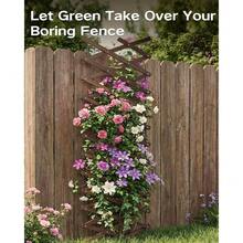 Indoor/Outdoor Wood Trellis Panels, Extendable Design For Vines, Ideal As Yard Edging And Animal Barrier - Default - View 5