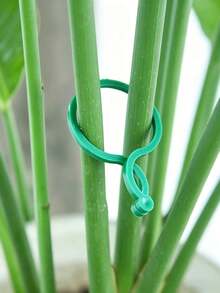 100pcs Plant Twist Clips, Plant Clips, Garden Plant Support Clips, Vegetable Tomato Vine Flower Clips, Wall Plant Support, Suitable For Climbing Vegetables, Fruits, Flowers Fixation, Green Vine Fixing Hooks, Green Clip-On Seamless Green Plant Fixing Device, Gardening Tools, Plant Stands, Pot Accessories, Garden Decor, Gardening, Indoor Plant Stands - C - View 4