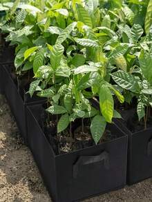 Gardening Planting Bags With Handles, Multi-Size Felt Planting Bags, Rectangular Planting And Seedling Pots, Suitable For Growing Vegetables, Tomatoes, Potatoes - Multicolor - View 3
