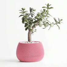 Modern Decorative Vase With Unique Twist Texture – Geometric Design For Plants, Cactus, Bonsai – Home/Office Gift Idea – Available In 2 Sizes – 100% Made In Italy, Shipping From Italy - Pink - View 10