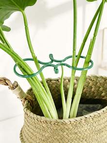 100pcs Plant Twist Clips, Plant Clips, Garden Plant Support Clips, Vegetable Tomato Vine Flower Clips, Wall Plant Support, Suitable For Climbing Vegetables, Fruits, Flowers Fixation, Green Vine Fixing Hooks, Green Clip-On Seamless Green Plant Fixing Device, Gardening Tools, Plant Stands, Pot Accessories, Garden Decor, Gardening, Indoor Plant Stands - C - View 5