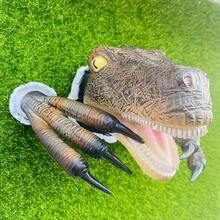 Velociraptor Statue Wall Resin Mount Dinosaur Head Sculpture Wall Hanging Ornament For Indoor And Outdoor Dinosaur - A - Xem 2