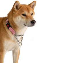 Martingale Dog Collar With Stainless Steel Chain And Reflective Nylon, Adjustable No Pull Training Collar, For Small Medium, And Large Dogs - Pink - View 5