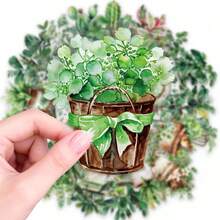 50张盆栽植物贴纸，PET透明材质，室内植物装饰贴纸，适用于手账、笔记本、家居装饰、咖啡杯、剪贴簿等。 - 50pcs - 查看 8