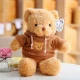 Brown [Hoodie Bear]