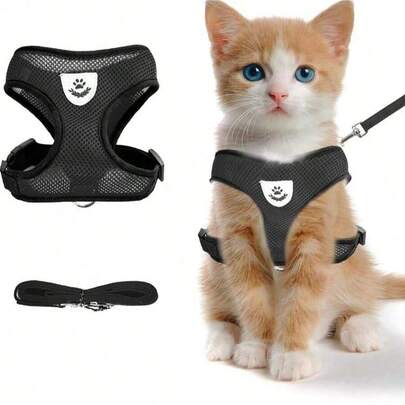 Correa larga impermeable para entrenamiento de perros, adecuada para entrenamiento, playa, patio, juego, campamento