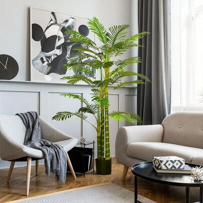 Live Plants