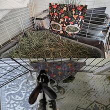 29.2x23厘米兔子干草喂食袋，豚鼠悬挂式干草喂食袋，仓鼠、兔子及小型宠物干草储存和分发袋 - 查看 7