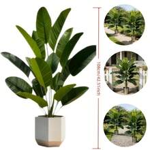 Schöner Bananenbaum mit hohen Ästen und großen grünen Blättern, geeignet für Außen- und Innenbereich/Zuhause, Küche, Garten, Terrasse, Balkon, Hof, Poolbereich; kann ganzjährig im Frühling und Sommer verwendet werden - Verschiedenfarbig - Übersicht 5