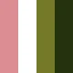 彩色