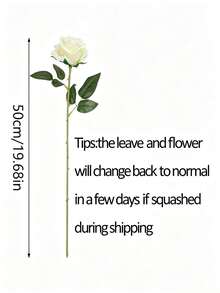 1/6/10/20/50pcs White Artificial Rose Flowers, Suitable For Valentine's Day Bouquet, Wedding Decor, Bridal Bouquet, Room Decoration, Home Decor, Wall Decor, Birthday Decor, Kitchen Decor, Gifts, Bedroom Decor, Wedding Decor, Office Desk Accessories, Living Room Decor, Tabletop Centerpiece, Garden Decor, Outdoor Decor, Valentine's Day Decor - White - View 5