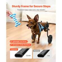 Passeggini per animali domestici - 10 kg, XS - Visualizzare 4