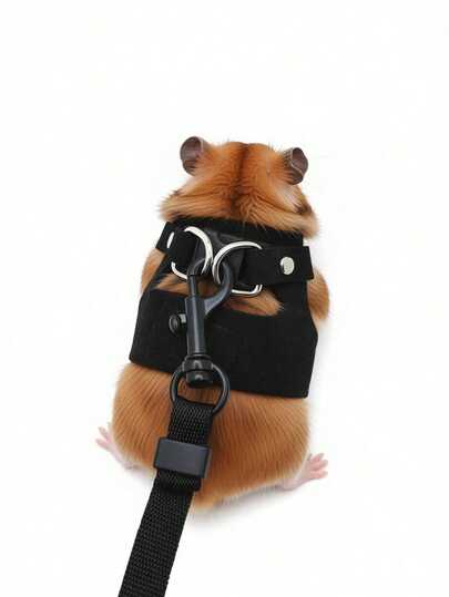 Bộ dây dắt và đai cho thằn lằn, phụ kiện dây đeo ngực cho động vật nhỏ, bộ dây dắt siêu mềm có thể điều chỉnh cho bò sát nhỏ, dây đeo ngực cho bò sát, dây dắt ngực có thể điều chỉnh, đai cho bò sát nhỏ, bộ dây dắt cho chuột hamster, bộ đai và phụ kiện trang trí cho thú cưng, sự kết hợp thời trang dễ thương cho bò sát, đi dạo ngoài trời, leo núi, đai cho thằn lằn, đai cho thằn lằn Basilisk, thích hợp cho thằn lằn Basilisk, tắc kè, thú cưng nhỏ, thằn lằn, sóc, chuột hamster, đi dạo ngoài trời.