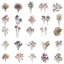 50pcs Vintage Dried Flower & Baby's Breath Stickers, Decorative For Phone Case, Fridge, Planner, Guitar, Luggage, Helmet, Skateboard, Laptop, Scrapbooking Scrapbook Supplies - Vintage Dried Flower Baby's Breath - View 9