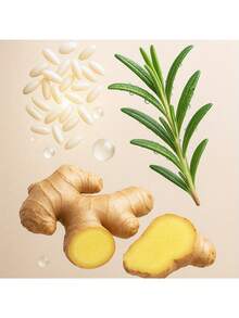 米水三合一洗发水，迷迭香生物素生姜根洗发水，护发 - 柔顺亮泽，深层清洁 - 夏秋两季防黑发洗发水，防止头发干燥，令秀发柔顺，解决毛躁问题，富含米水洗发水 - 1 件洗髮精 - 查看 7