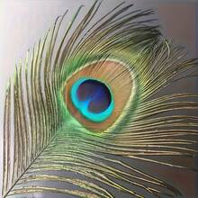 1/5/10/20/50pcs Vivid Artificial Peacock Feathers, 10-12 Inches (25-30cm) Long, Suitable For DIY Floral Arrangement, Elegant Home Decor, Wedding, Christmas Party, Holiday Celebration And Craft Making - Multicolor - View 10
