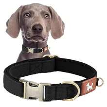 Vintage Color Nylon Mesh Lining Dog Collar, Suitable For Small, Medium And Large Dogs - Multicolor - View 16