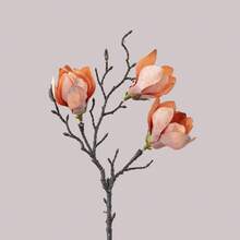 1pc Artificial Magnolia Flower, INS Style Home Decor, Wholesale Fake Flowers For Tabletop, Wedding Decoration, Interior Design - Multicolor - View 4
