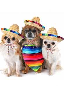 Wide Brim Natural Straw Hat Suitable For Theme Parties, Mini Mexican Hat, Decorative Straw Hat With Colorful Ropes, Ideal For Birthday Celebrations, Costume Matching, And Pet Use - Multicolor - View 4