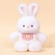 Run Run Bunny + Pink Scarf