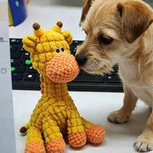 Juguete de entrenamiento para perros con forma de pato de espuma moldeada de EVA resistente a mordeduras, fabricado al por mayor - Multicolor - Ver 3