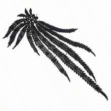 1pc Black & White Water-Soluble Hollow Feather Patch, DIY Clothing Accessory - Cloth Patch - View 7