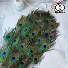 1/5/10/20/50pcs Vivid Artificial Peacock Feathers, 10-12 Inches (25-30cm) Long, Suitable For DIY Floral Arrangement, Elegant Home Decor, Wedding, Christmas Party, Holiday Celebration And Craft Making - Multicolor - View 3