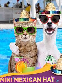 Wide Brim Natural Straw Hat Suitable For Theme Parties, Mini Mexican Hat, Decorative Straw Hat With Colorful Ropes, Ideal For Birthday Celebrations, Costume Matching, And Pet Use - Multicolor - View 5