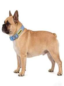 新款狗狗项圈，宠物项圈，柔软不拉伸项圈，可调节耐用宠物项圈，适用于小型、中型和大型狗狗 - 彩色 - 查看 5