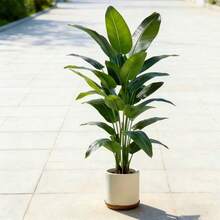 Large Artificial Banana Tree, Low Maintenance Plastic Decor, Suitable For Indoor And Outdoor Use. Perfect For Garden, Wedding, Home And Office, Ideal For Hawaiian, Modern Nordic Or Tropical Theme Design. Suitable For Home, Office, Wedding, Party, Porch And Window Sill Decoration, No Maintenance, No Power Required, Can Achieve Indoor And Outdoor Decoration, Modern Style, Natural Appearance (Without Pot) - Multicolor - View 7