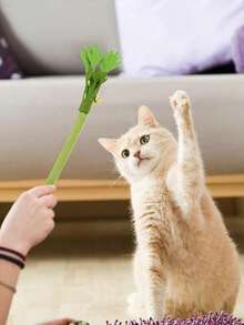 天然猫咪洁齿棒 - 适合成猫和幼猫的洁齿棒。逼真的芹菜造型猫玩具,带铃铛,有机磨牙棒,毛毡互动逗猫棒,猫咪用品,猫咪礼物。促进牙齿健康,天然耐用。适合室内外玩耍和训练。送给猫主人的绝佳礼物。 - 彩色 - 查看 5