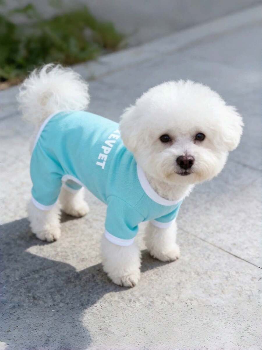 1件宠物四脚服，狗/猫背心，适合大型犬、猫、泰迪犬、贵宾犬等，防蚊空调服