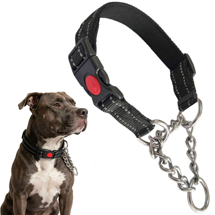 马丁格尔犬项圈，配有不锈钢链和反光尼龙绳，可调节防拉扯训练项圈，适用于小型、中型和大型犬。