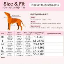 Devon Rex Cat Turtleneck Ribbed Sweater, Hairless Cat Short Sleeve Elastic Soft Breathable Pet T-Shirt, Machine Washable, Anti-Shedding, Smooth And Refreshing - Green - View 2