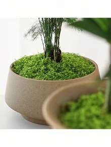 30/50/100g A Package Of Realistic Artificial Moss - Durable Plastic Indoor/Outdoor Decoration, Suitable For Glass Containers, Flower Pots, And Landscaping. This Natural Green Moss Features A Lifelike Texture, Is Easy To Install And Maintain - View 6