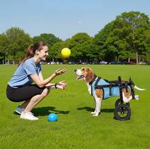 Passeggini per animali domestici - 10 kg, S - Visualizzare 9