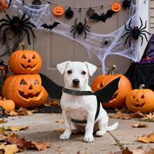 1 Set Disfraz de Halloween para perro, Disfraz de murciélago para perro, Alas de murciélago con correa para mascotas pequeñas para fiesta de Halloween - Negro - Ver 3