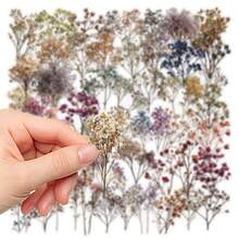 50pcs Vintage Dried Flower & Baby's Breath Stickers, Decorative For Phone Case, Fridge, Planner, Guitar, Luggage, Helmet, Skateboard, Laptop, Scrapbooking Scrapbook Supplies - Vintage Dried Flower Baby's Breath - View 4