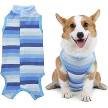 1 bộ đồ phục hồi cho chó PETCHIC, bộ đồ phẫu thuật triệt sản/thiến bằng viscose, phù hợp cho cả chó đực và chó cái, giải pháp thay thế cho thuốc xịt chống quấy rối, quần áo bảo vệ da (màu xanh) - Màu xanh lam - Xem 4