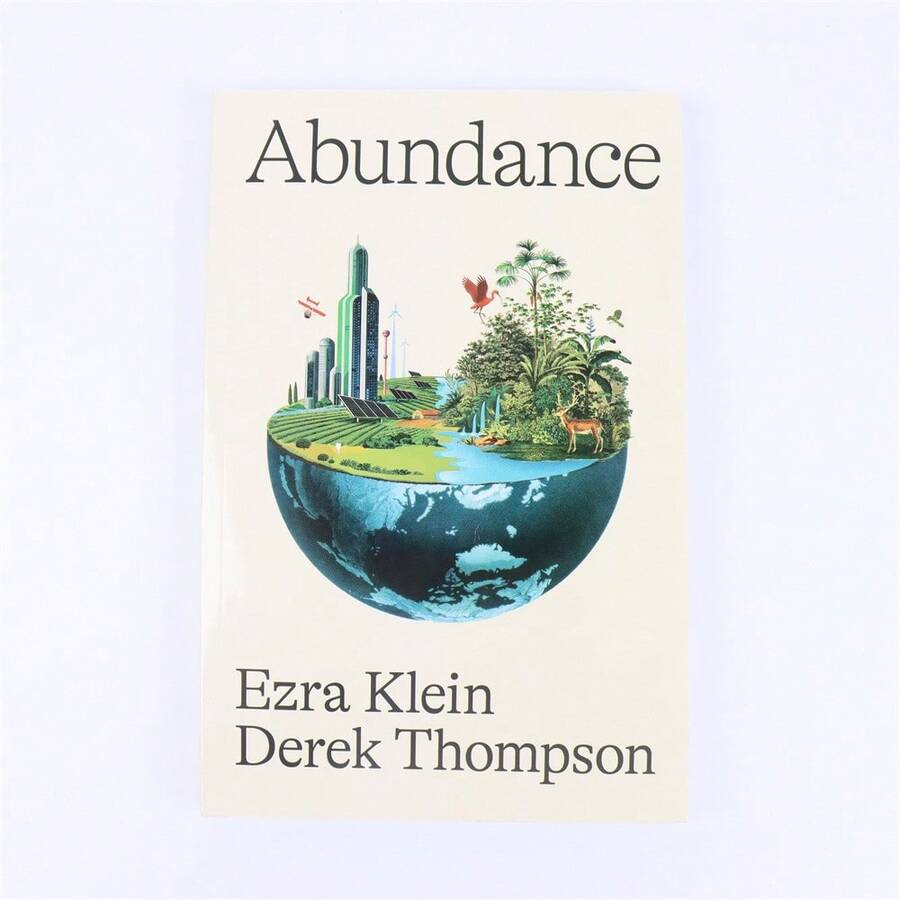 Abundance: A Bold Vision For The Future ,A Thought-Provoking Book On Economics Technology - A - View 1