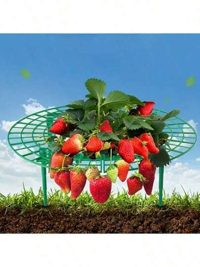 Bộ 3/5/7 khung đỡ dâu tây màu xanh lá cây - Khung bảo vệ cây 3 chân, chống nấm mốc và thối rữa, dễ lắp ráp, có thể tái sử dụng, giúp bảo vệ trái cây tốt hơn cho năng suất cao hơn.