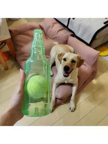 狗狗玩具、耐用玩具、解闷玩具、会发出吱吱声的玩具、网球和瓶子形状的玩具、狗狗益智玩具、狗狗陪伴玩具、互动玩具、狗狗咀嚼玩具、适合各种体型狗狗、狗狗礼物 - 彩色 - 查看 4