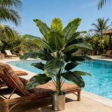 Schöner Bananenbaum mit hohen Ästen und großen grünen Blättern, geeignet für Außen- und Innenbereich/Zuhause, Küche, Garten, Terrasse, Balkon, Hof, Poolbereich; kann ganzjährig im Frühling und Sommer verwendet werden - Verschiedenfarbig - Übersicht 4