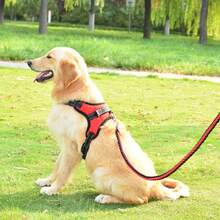 New Reflective Harness Chest Strap For Medium/Large Dogs, Anti-Pulling Leash - Multicolor - View 11