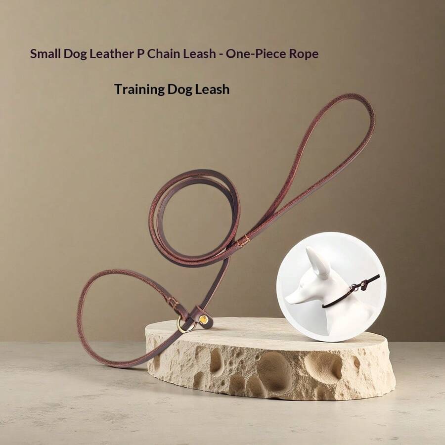 Leather Dog/Cat Collar And Leash Set, Puppy Leather Leash For Training, Pet Walking Lead, Durable Anti-Pulling Leather Rope - Black - View 1