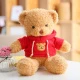 Red [Hoodie Bear]