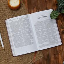 KJV Holy Bible: Gift And Award, Pink Leather-Look, Red Letter, Comfort Print: King James Version - Default - View 10