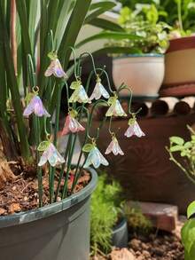 40pcs/20pcs Romantic Garden Decor Stakes, Miniature Decorative Garden Stakes, Faux Lily And Cherry Blossom, Resin Material, Cute Ombre Color, Potted Plant Decor, Small Party Craft, Add Ambiance To Garden, Potted Decor, Indoor Outdoor Plant Decor Set, Fairy Tale Style Mini Scene, Dreamlike Garden Decor, Halloween Decor, Themed Design, Lightweight Durable Detailed Markers, Includes 20 Flower Hanging Ornaments And 20 Garden Flower Stands - A - View 3